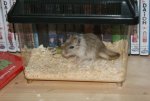 DSC00347.jpg