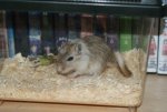 DSC00348.jpg