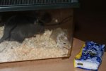 DSC00351.jpg