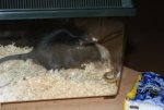 DSC00352.jpg