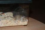 DSC00354.jpg