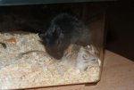 DSC00356.jpg