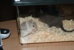 DSC00358.jpg