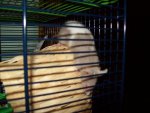 100_0665.jpg