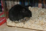 DSC00369.jpg