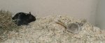 DSC00391.jpg