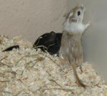 DSC00395.jpg