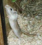 DSC00397.jpg