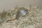 DSC00429.jpg