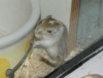 DSC00433.jpg