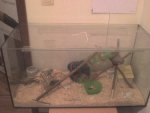 DSC00141.JPG