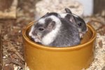 DSC03223.JPG