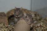 DSC03481.JPG