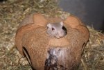 DSC04484.JPG