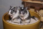 DSC04590.JPG