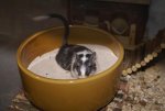 DSC04583.jpg