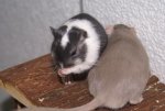DSC04647.jpg