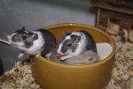 DSC04751.jpg