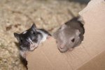 DSC04760.jpg