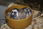 DSC04778.jpg