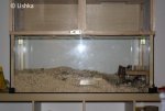 IMG_0294.jpg