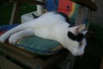 Tiere 014.jpg