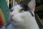 Tiere 027.jpg