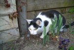Tiere 039.jpg