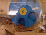 Foto-0048.a.jpg