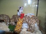 100_0521.jpg