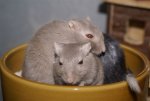 DSC05964.JPG