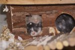 DSC05992.JPG
