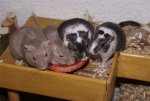 DSC06012.JPG