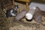 DSC06113.JPG