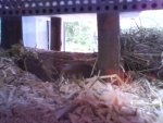 Foto 0021.jpg