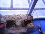 Foto 0023.jpg