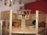 IMG_2220.jpg