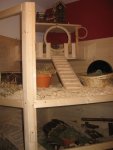 IMG_2246.jpg