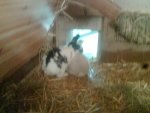 Schneewitte & Hercule6.jpg