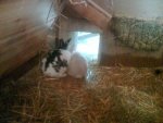 Schneewitte & Hercule7.jpg