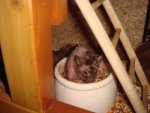 DSC01451.jpg