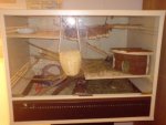 DSC02586.jpg
