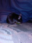 Foto-0008.jpg