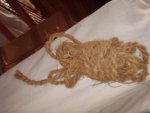 DSC02590.jpg