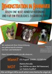 flyer.jpg