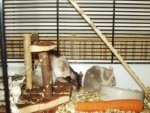 PC120088.jpg