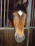 DSC00444.jpg
