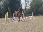 DSC00545.jpg