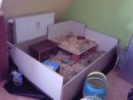 Foto0875.jpg