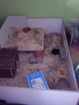 Foto0876.jpg